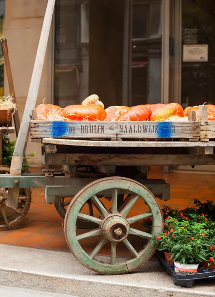 Pumpkins on vintage wooden cart — Stock Photo, Image