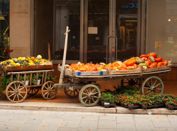 Pumpkins on vintage wooden cart — Stock Photo, Image