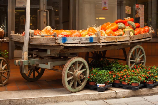 Pumpkins on vintage wooden cart — Stock Photo, Image