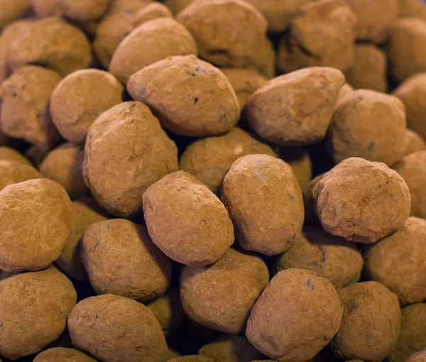 Balls of chocolate truffle — Stock Photo, Image