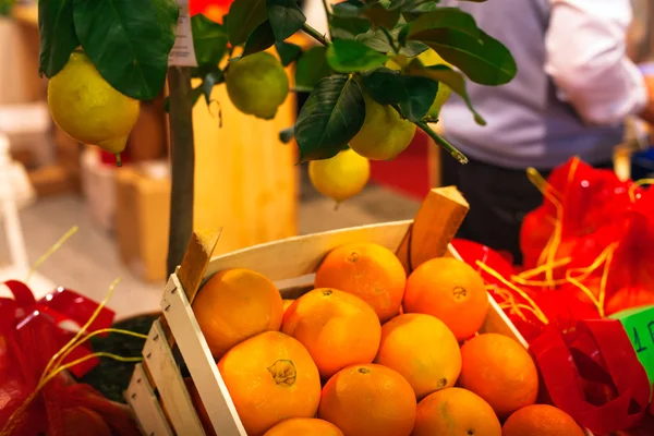 Naranjas sicilianas y limonero — Foto de Stock