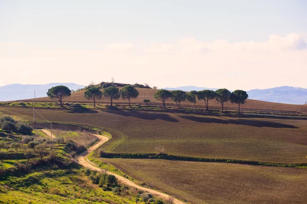 Leonforte countryside — Stock Photo, Image