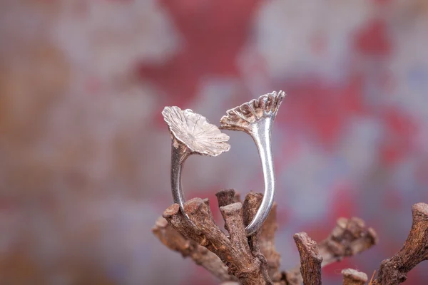 Srebrny pierścień z bliska — Zdjęcie stockowe