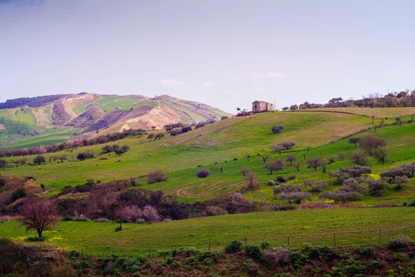 Siciliaanse platteland — Stockfoto