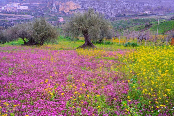 Siciliaanse platteland — Stockfoto