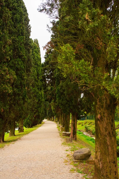 Área arqueológica de aquileia — Fotografia de Stock