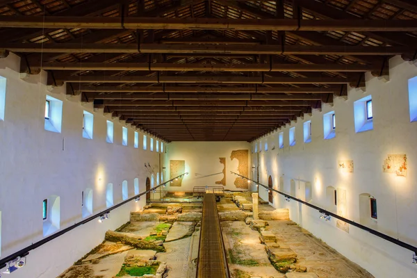 Aquileia Ulusal Arkeoloji Müzesi, Aquileia — Stok fotoğraf