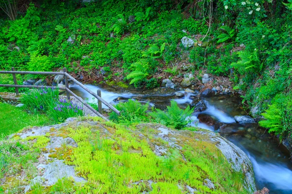 Sturzbach — Stockfoto