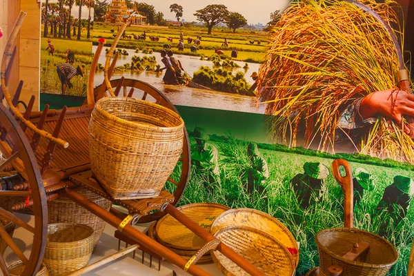 Verktyg i ris kluster på Expo 2015 Milan — Stockfoto
