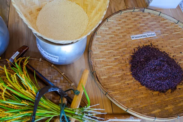 Rice — Stock Photo, Image