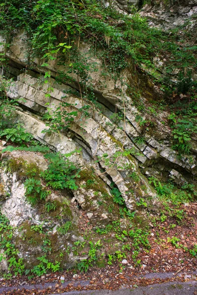 Sedimentair gesteente — Stockfoto