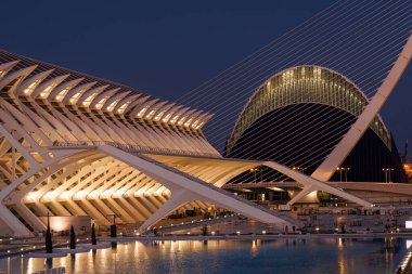 Valencia, İspanya - 12 Temmuz 2025: Palau de Les Artes, Valensiyalı mimar Santiago Calatrava tarafından tasarlanan bir opera salonu.