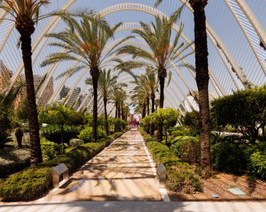 Valencia, İspanya - 12 Temmuz 2025: Palau de Les Artes, Valensiyalı mimar Santiago Calatrava tarafından tasarlanan bir opera salonu.