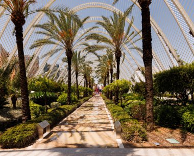 Valencia, İspanya - 12 Temmuz 2025: Palau de Les Artes, Valensiyalı mimar Santiago Calatrava tarafından tasarlanan bir opera salonu.