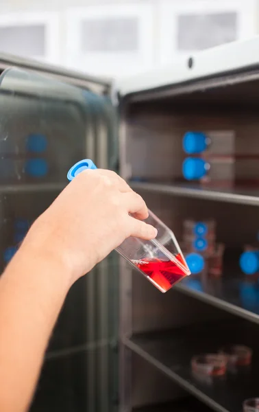 Вид лабораторного холодильника — стоковое фото