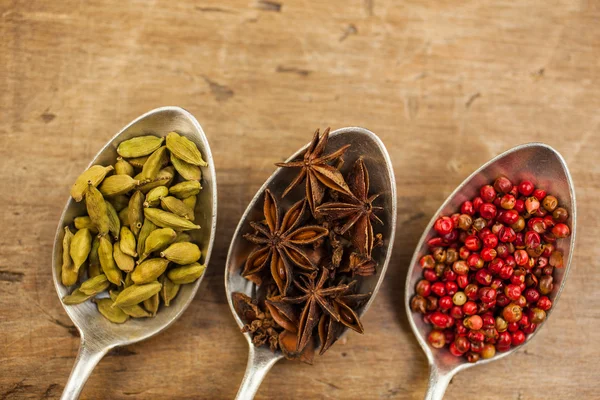 Spices inside the spoons — Stock Photo, Image