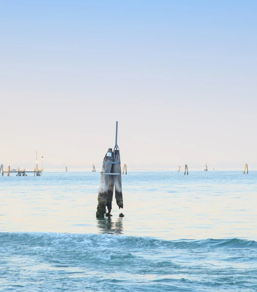 Delfiner i Venedig-lagunen — Stockfoto