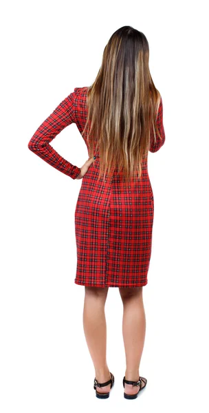 Back view of standing young beautiful  woman. — Stockfoto