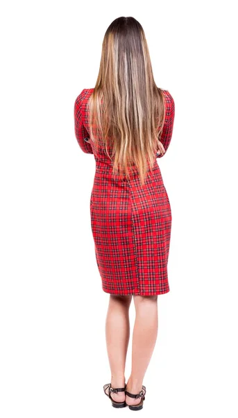 Back view of standing young beautiful  woman. — Stockfoto