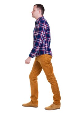 Arkadan görünüş-Kareli gömlekli yakışıklı bir adam olacak.