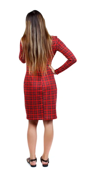 Back view of standing young beautiful  woman. — Stock Photo, Image