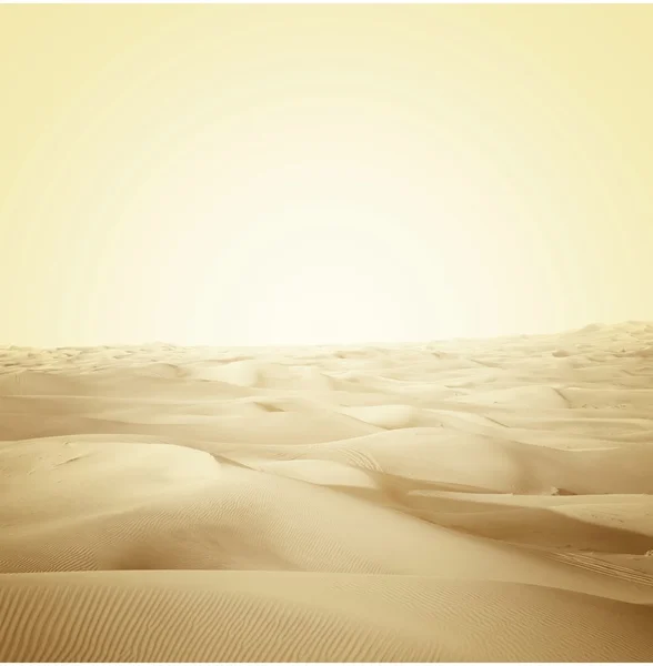 Dunes in the desert — Stock Photo, Image