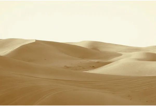 Dunas en el desierto —  Fotos de Stock