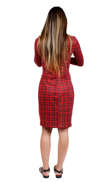 Back view of standing young beautiful  woman. — Stockfoto