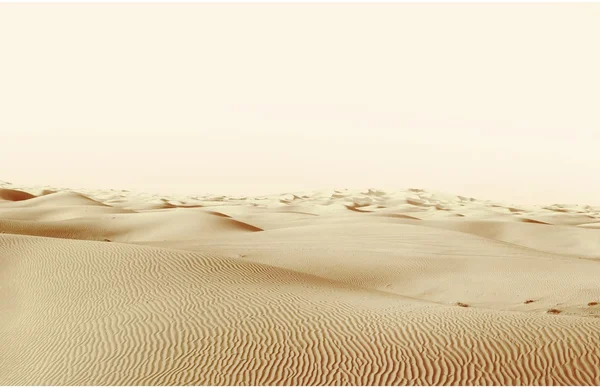 Dunes in the desert — Stock Photo, Image