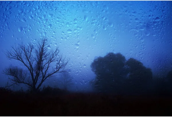 Regenachtige herfst landschap door een raam met regendruppels. — Stockfoto