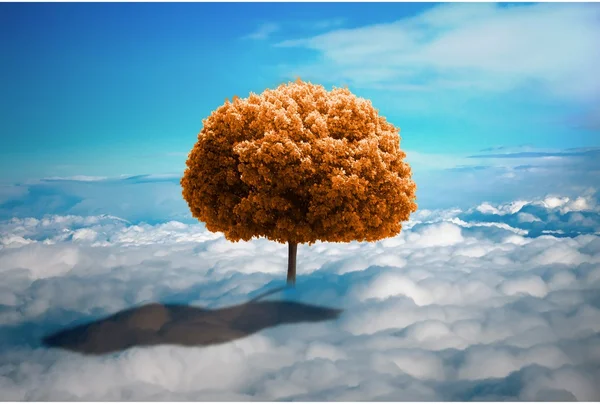 Träd i molnen. — Stockfoto