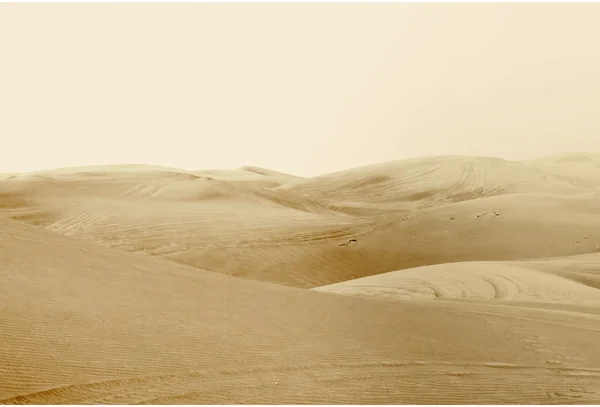 Dune nel deserto Immagine Stock