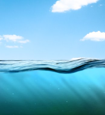 mavi renkli sualtı.