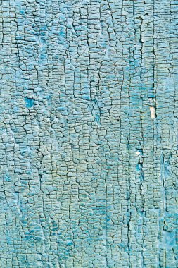 mavi renkte boyanmış eski kurulları.