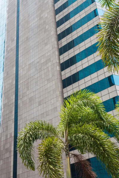 Moderna skyskrapor i financial district — Stockfoto