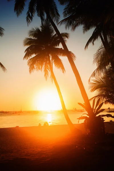 Atardecer tropical —  Fotos de Stock