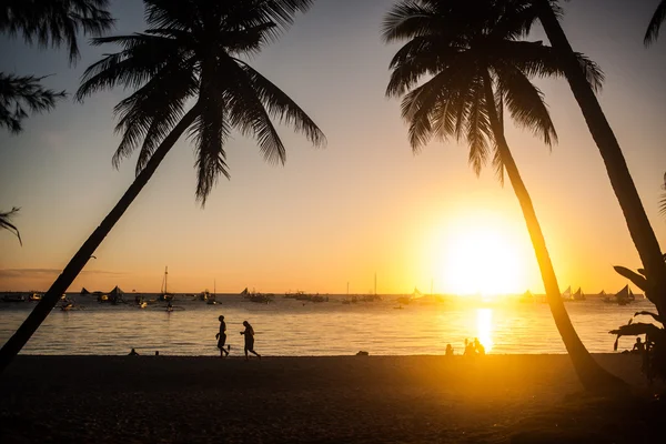 Atardecer tropical — Foto de Stock