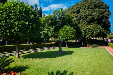 Yeşil güneşli Bahçe