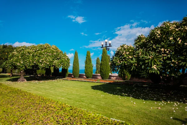 Einen sonnigen Garten gefärbt — Stockfoto