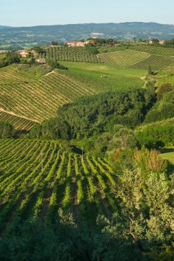 San gimignano, Toskana