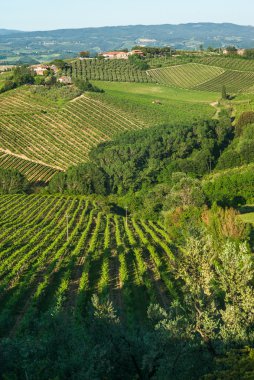 San gimignano, Toskana