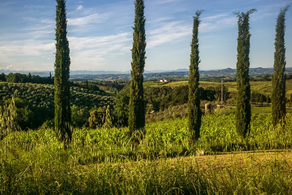 San gimignano, Toskánsko — Stock fotografie