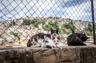 Modica, Sicilya Köyü