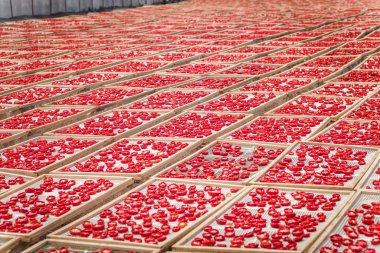 Kurutulmuş domates Sicilya