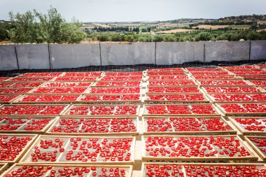Kurutulmuş domates Sicilya
