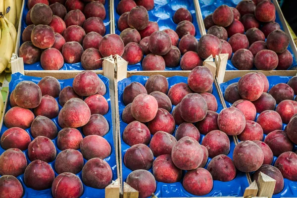 A piscaria, markt in catania — Stockfoto