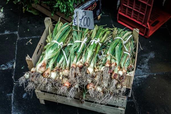 A Piscaria, mercado em Catania — Fotografia de Stock