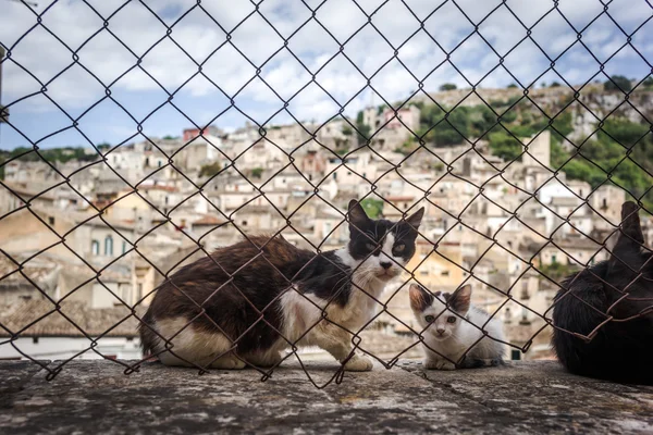 Modica, sicilian village