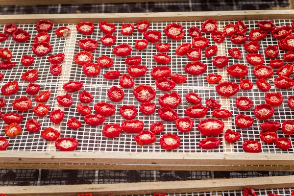 Sonnengetrocknete Tomaten in Sizilien — Stockfoto