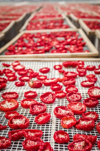 Sun dried tomatoes in Sicily — Stock Photo, Image